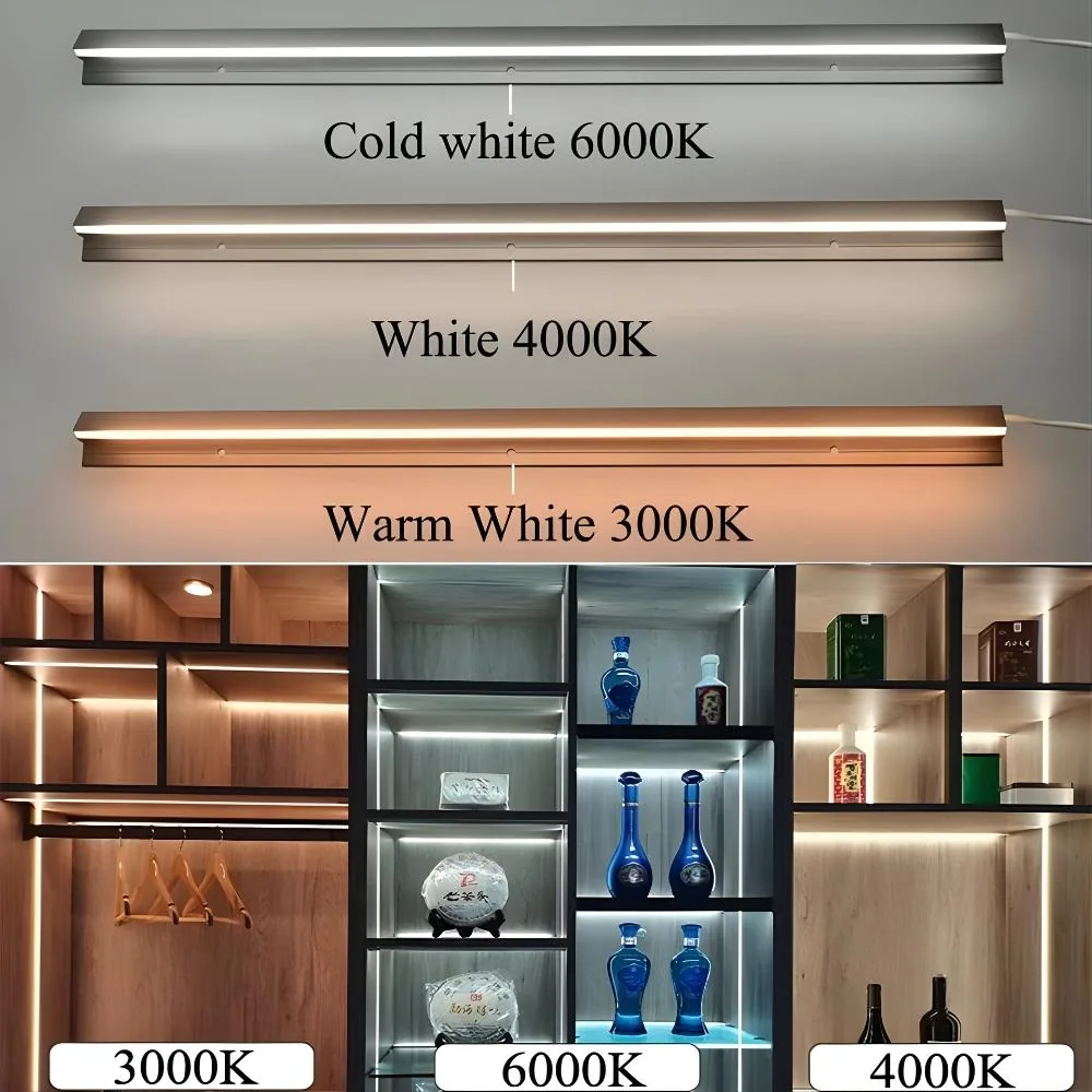 Magnetic showcase track lighting